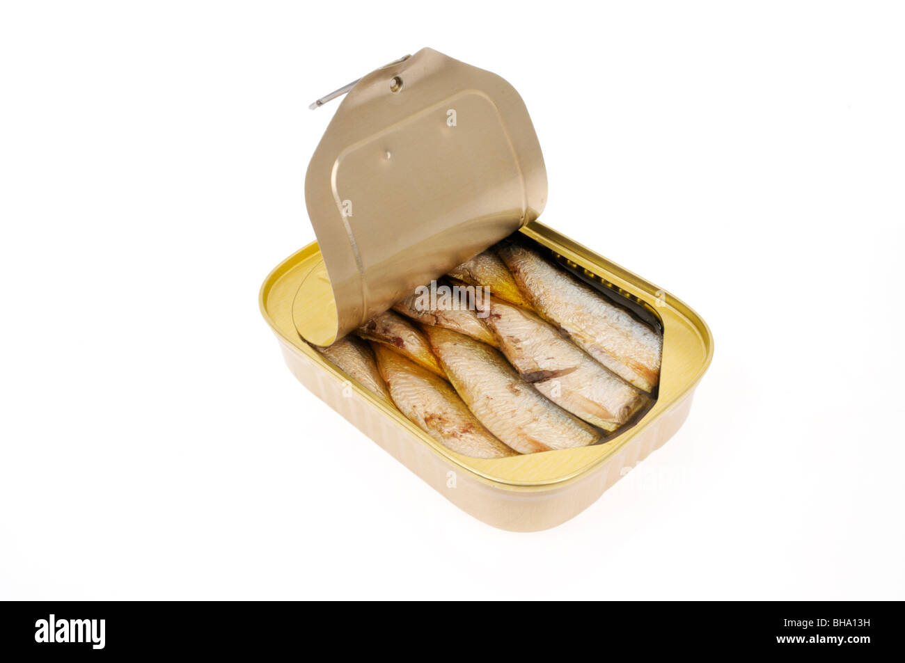 Une languette de boite de sardines à l'huile sur fond blanc, cut out. Banque D'Images