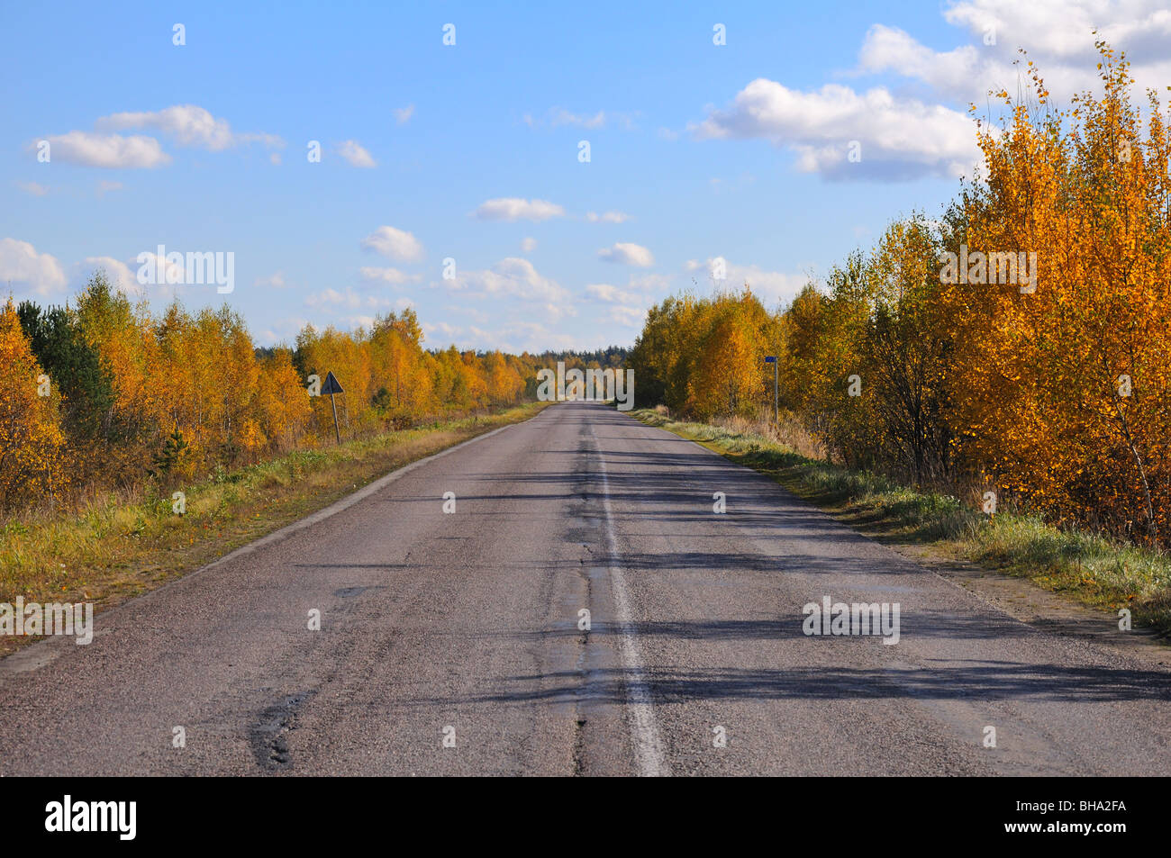 Un vieux, patché route asphaltée entre des buissons et des arbres d'automne Banque D'Images