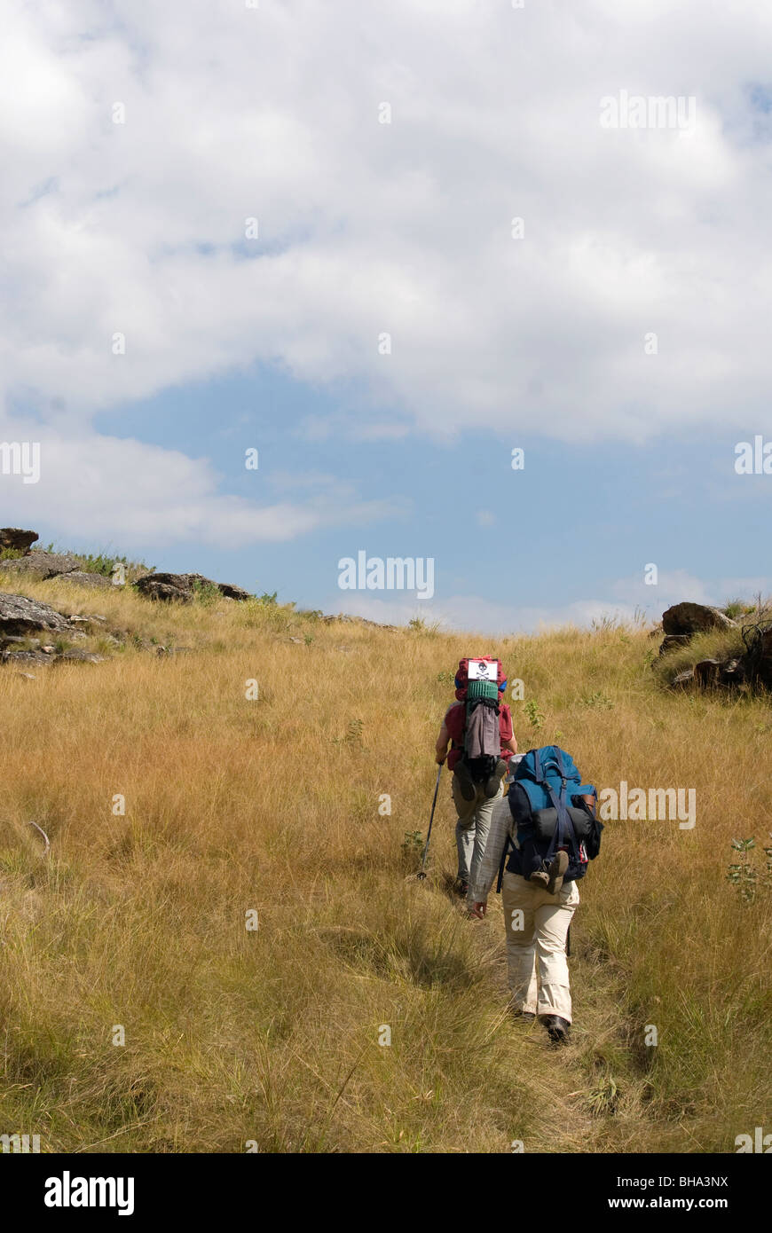 Les montagnes offrent de Chimanimani randonneurs certains des plus préservés et nature sauvage du sud de l'Afrique. Banque D'Images