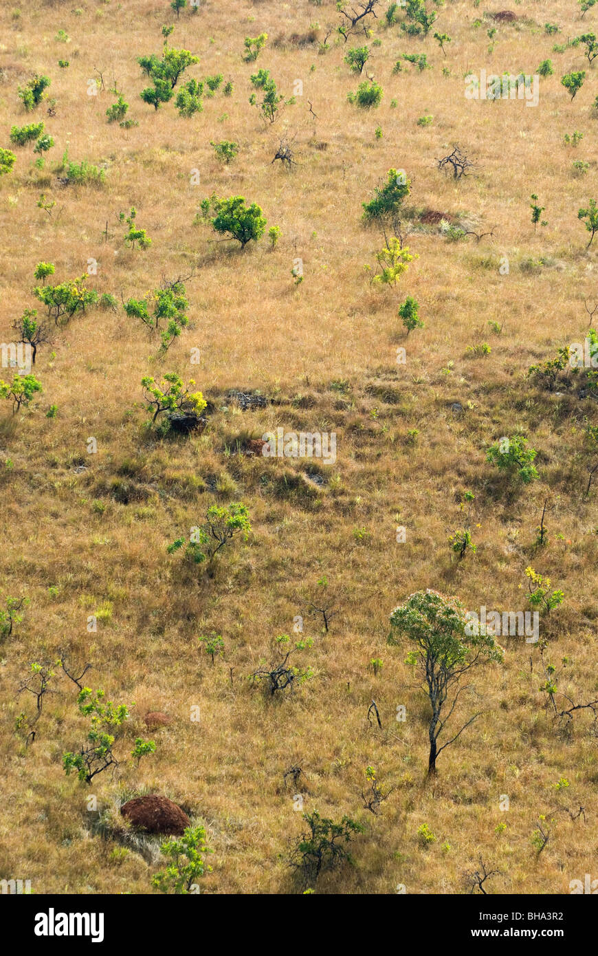 Parc national de Chimanimani Afrique Zimbabwe Banque D'Images