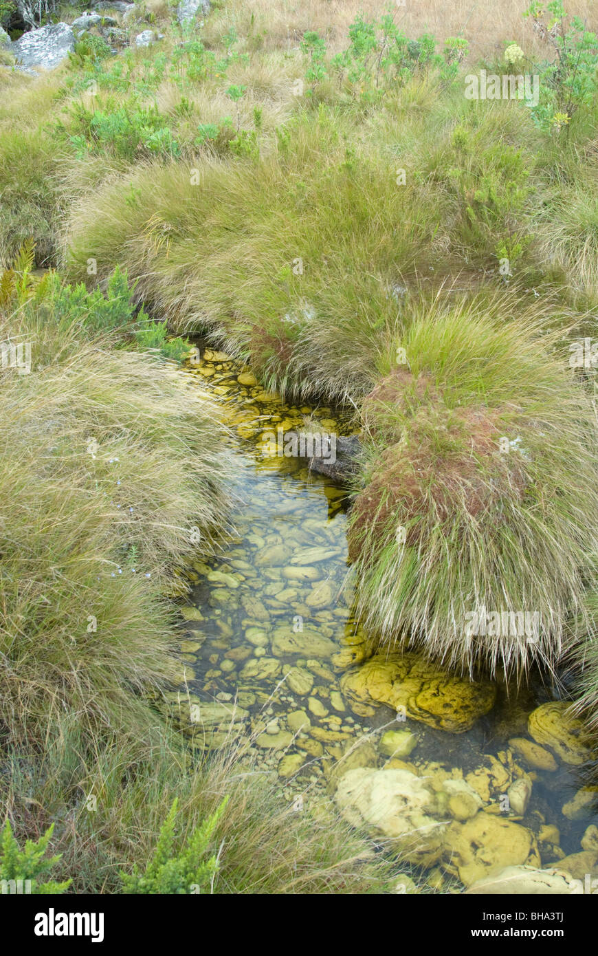 Parc national de Chimanimani Afrique Zimbabwe Banque D'Images