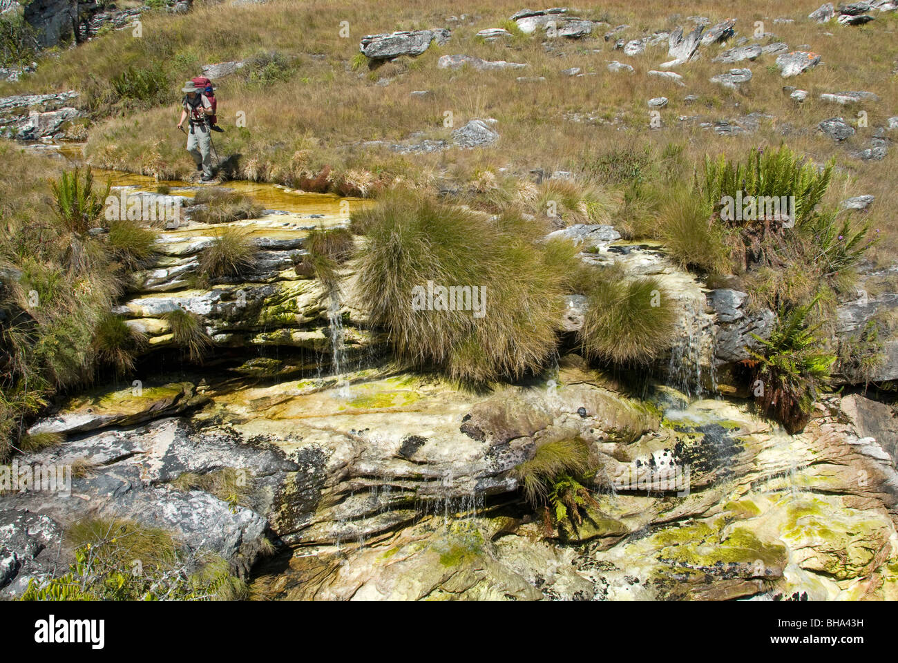 Parc national de Chimanimani Afrique Zimbabwe Banque D'Images