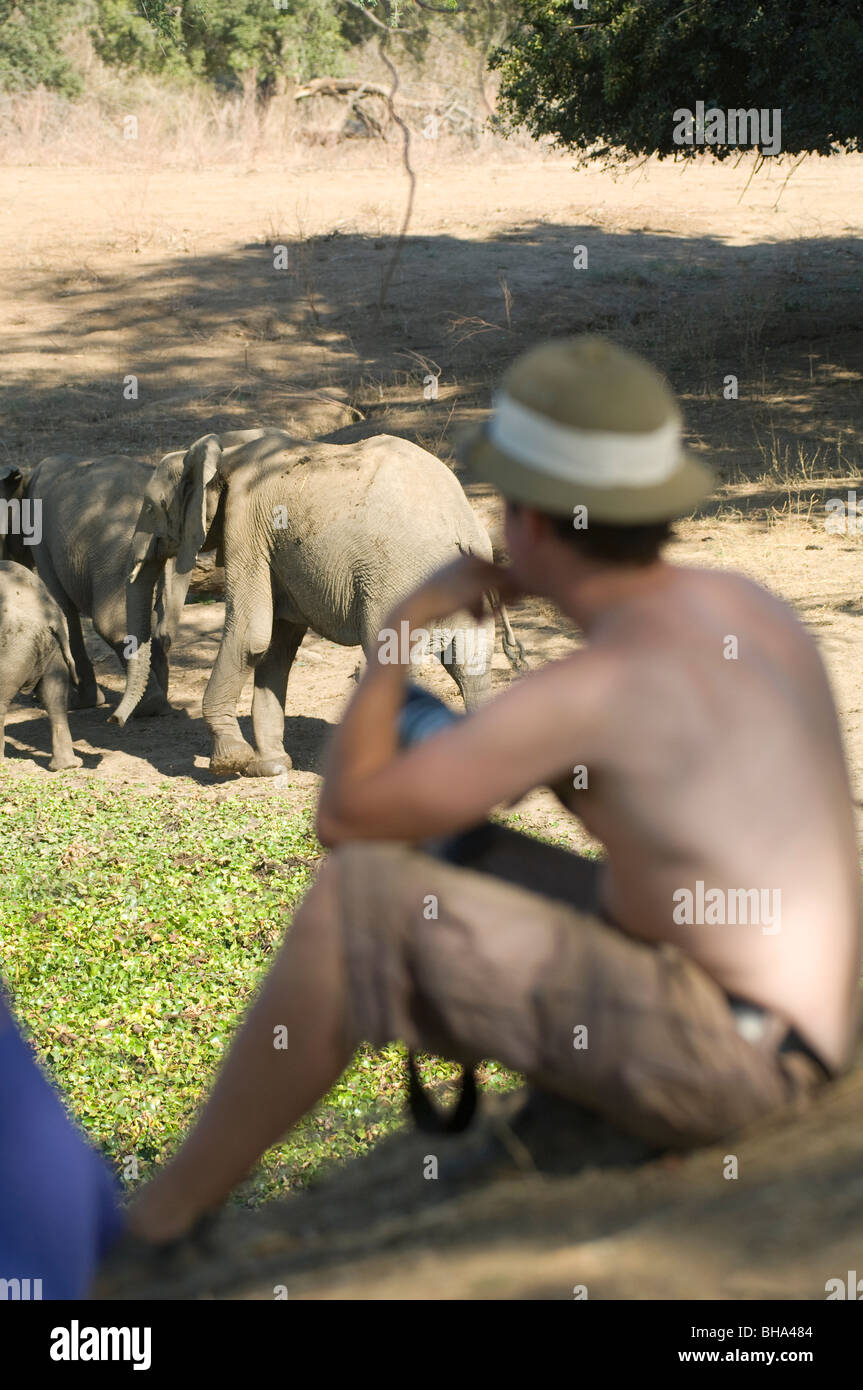 Mana Pools National Park Zimbabwe Afrique. Banque D'Images