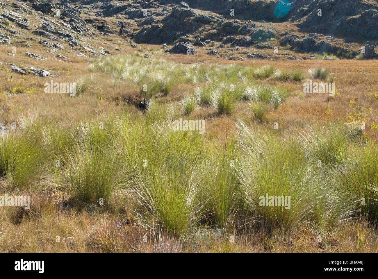 Parc national de Chimanimani Afrique Zimbabwe Banque D'Images