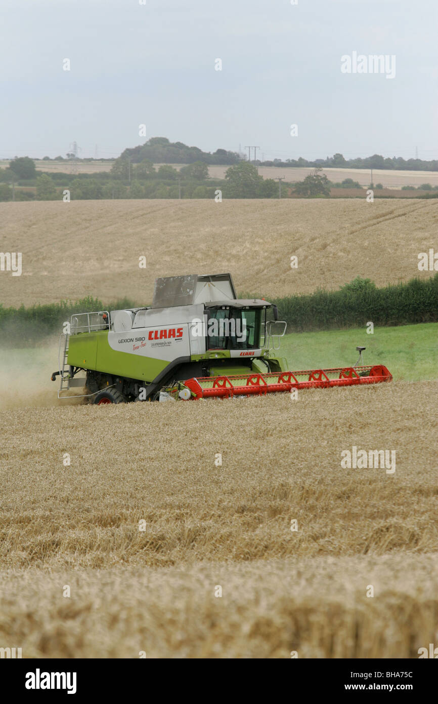 Une moissonneuse-batteuse travaillant dans la campagne Banque D'Images