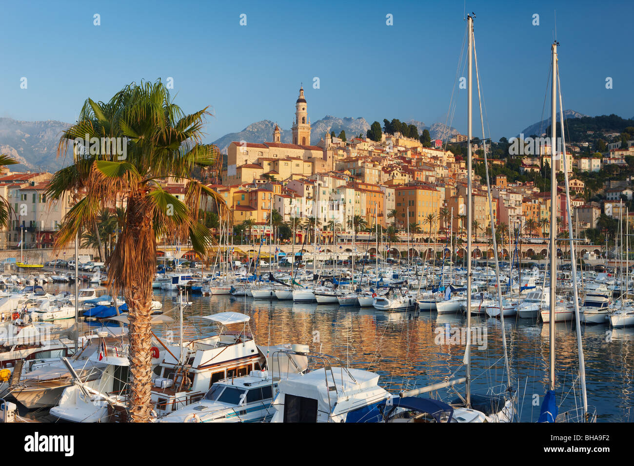 Le port et la vieille ville de Menton, Côte d'Azur, Provence, France Banque D'Images