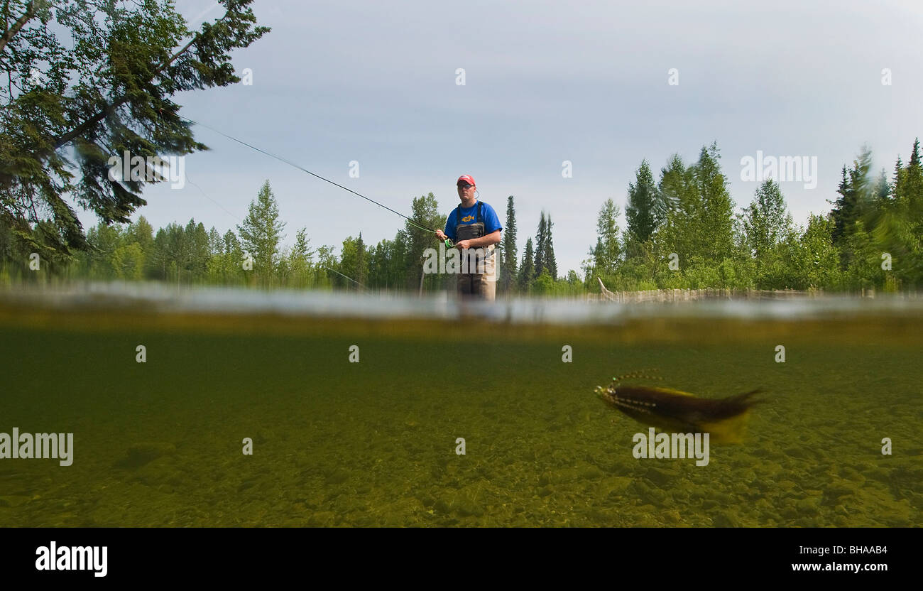 Vue sous-marine d'un pêcheur de mouche La pêche de la truite dans le Montana Creek, Southcentral Alaska, Banque D'Images