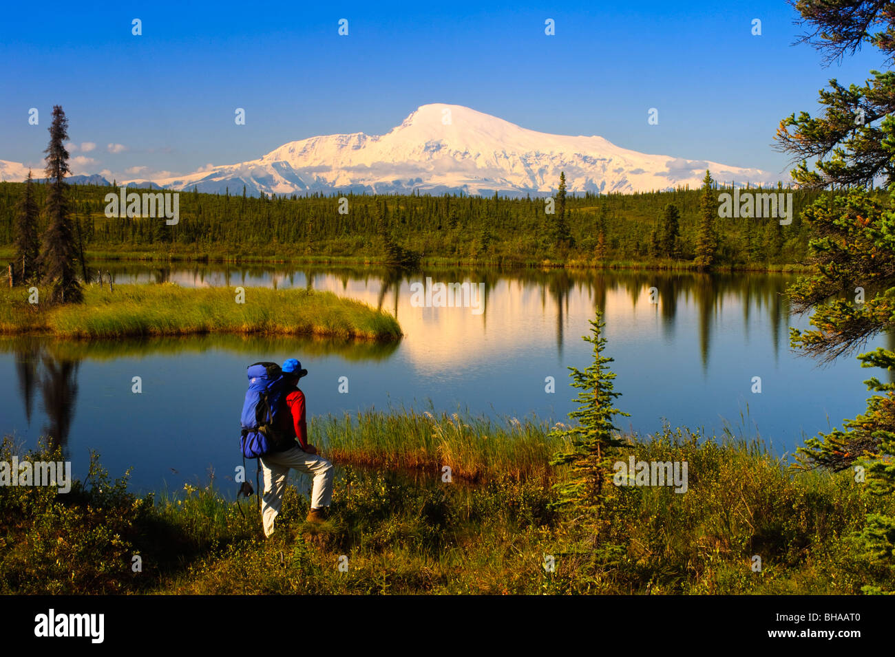 Backpacker masculins s'arrête pour profiter de la vue du Mont Sanford, Wrangell Saint Elias, Southcentral Alaska, l'été Banque D'Images