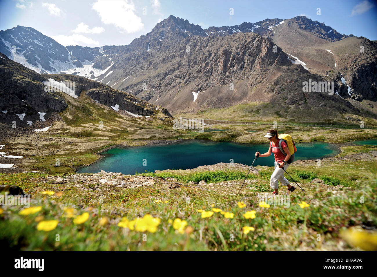 Randonneur surplombe les lacs Williwaw, parc d'état de Chugach, près d'Anchorage, Southcentral Alaska, l'été Banque D'Images