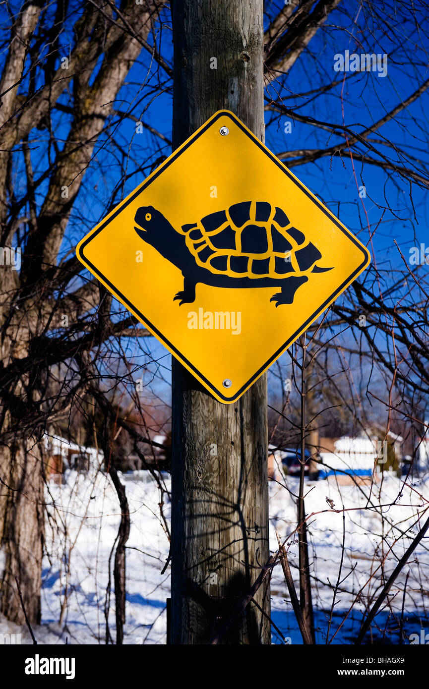 Turtle crossing sign à St-François, province de Québec, Canada Banque D'Images