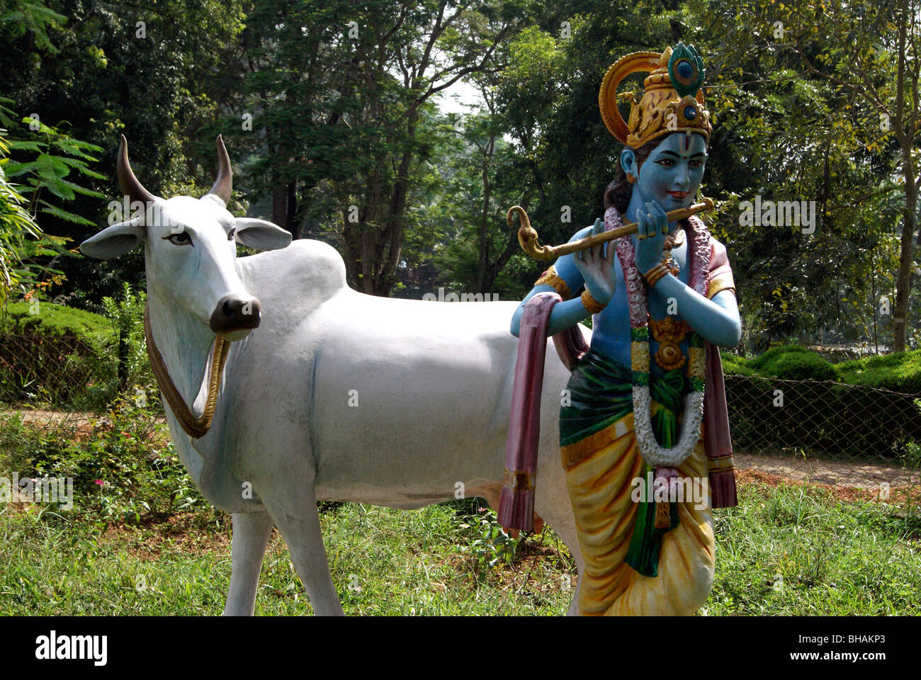 Dieu Krishna jouant flute & vache blanche à écouter la musique.Une belle sculpture à thème parc jardin vert de l'Inde (Kerala) Banque D'Images