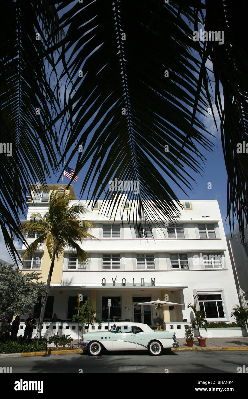 Avalon Hotel, Ocean Drive, à South Beach, Miami, Floride, USA Banque D'Images