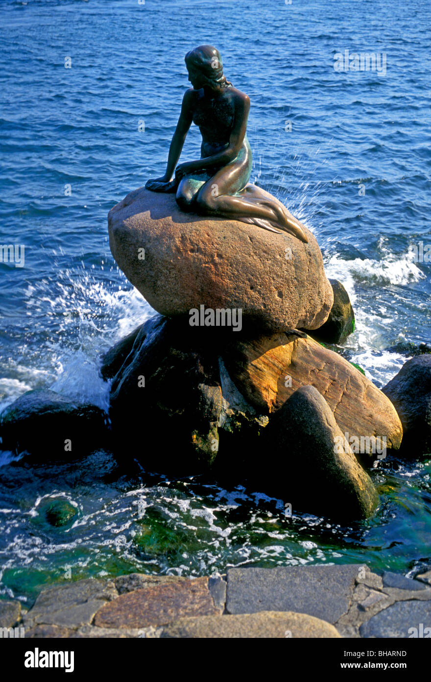 Petite Sirène, lille havfrue, statue de bronze, conçu par le sculpteur danois Edvard Eriksen, ville de Copenhague, Danemark Banque D'Images