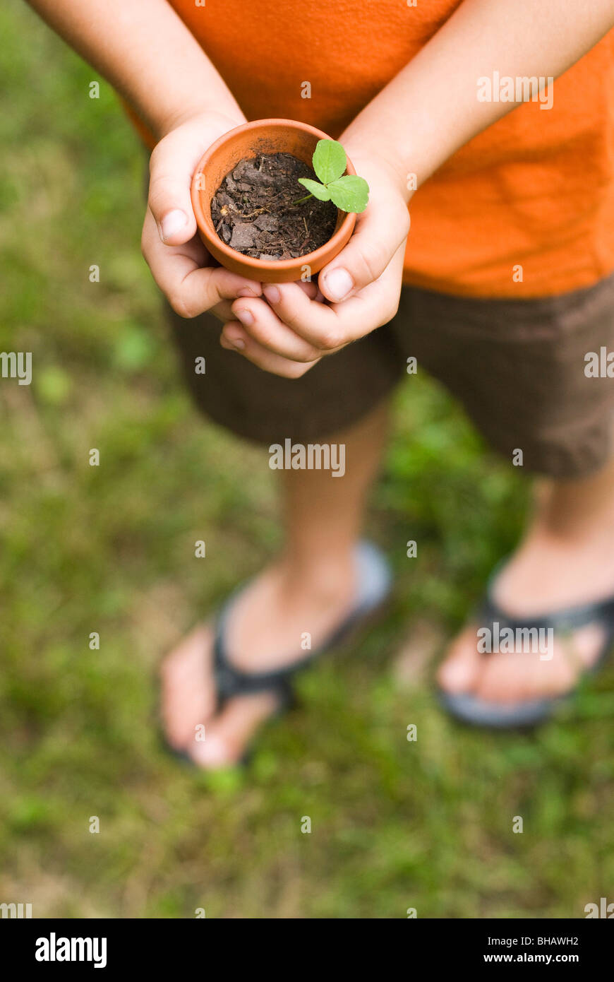 Boy holding potted plant Banque D'Images
