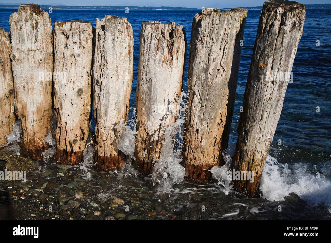 Vagues se brisant sur vieux bois épis sur le Puget Sound près de Point Marina Hudson Washington USA Banque D'Images