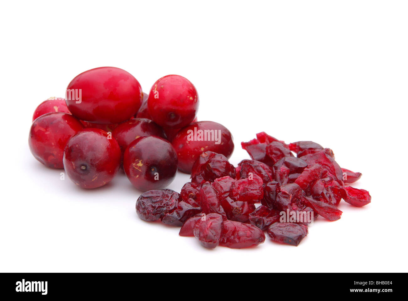 Canneberge 15 Banque D'Images