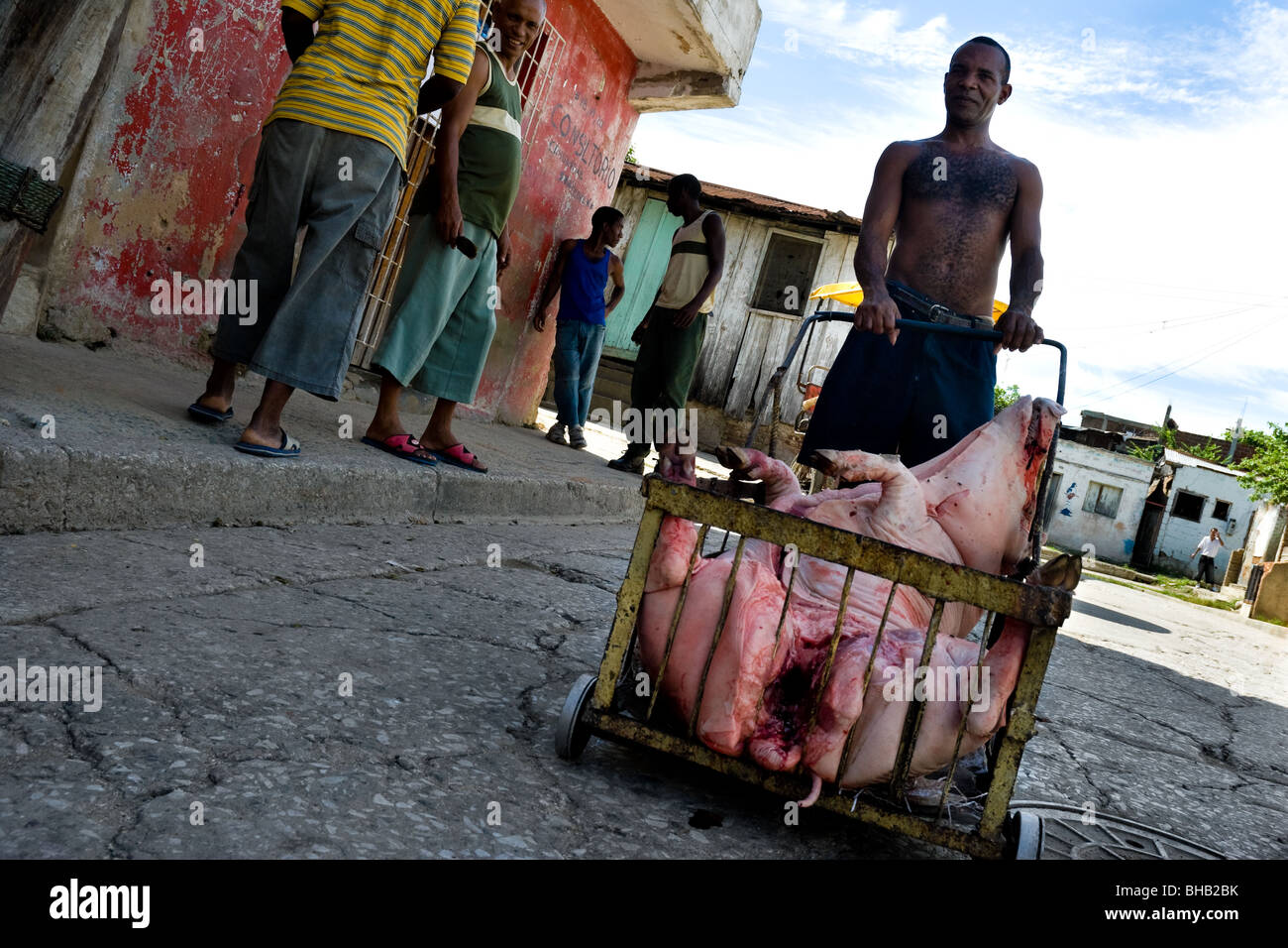 Un homme poussant un panier chargé avec le corps d'un cochon mort pendant le temps mort à Santiago de Cuba, Cuba. Banque D'Images