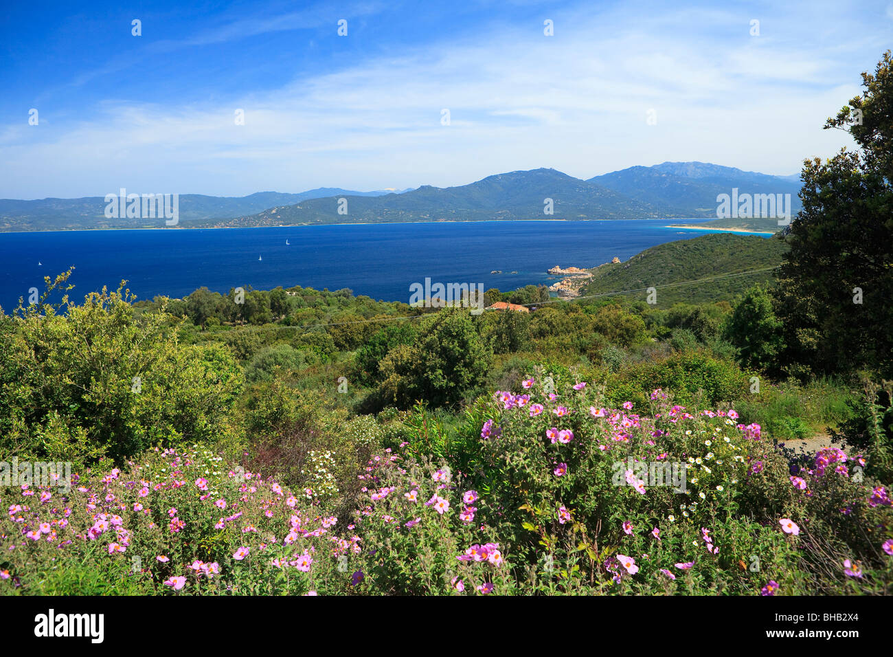 [Golfe du Valinco] Corse Côte ouest avec des montagnes à distance Banque D'Images