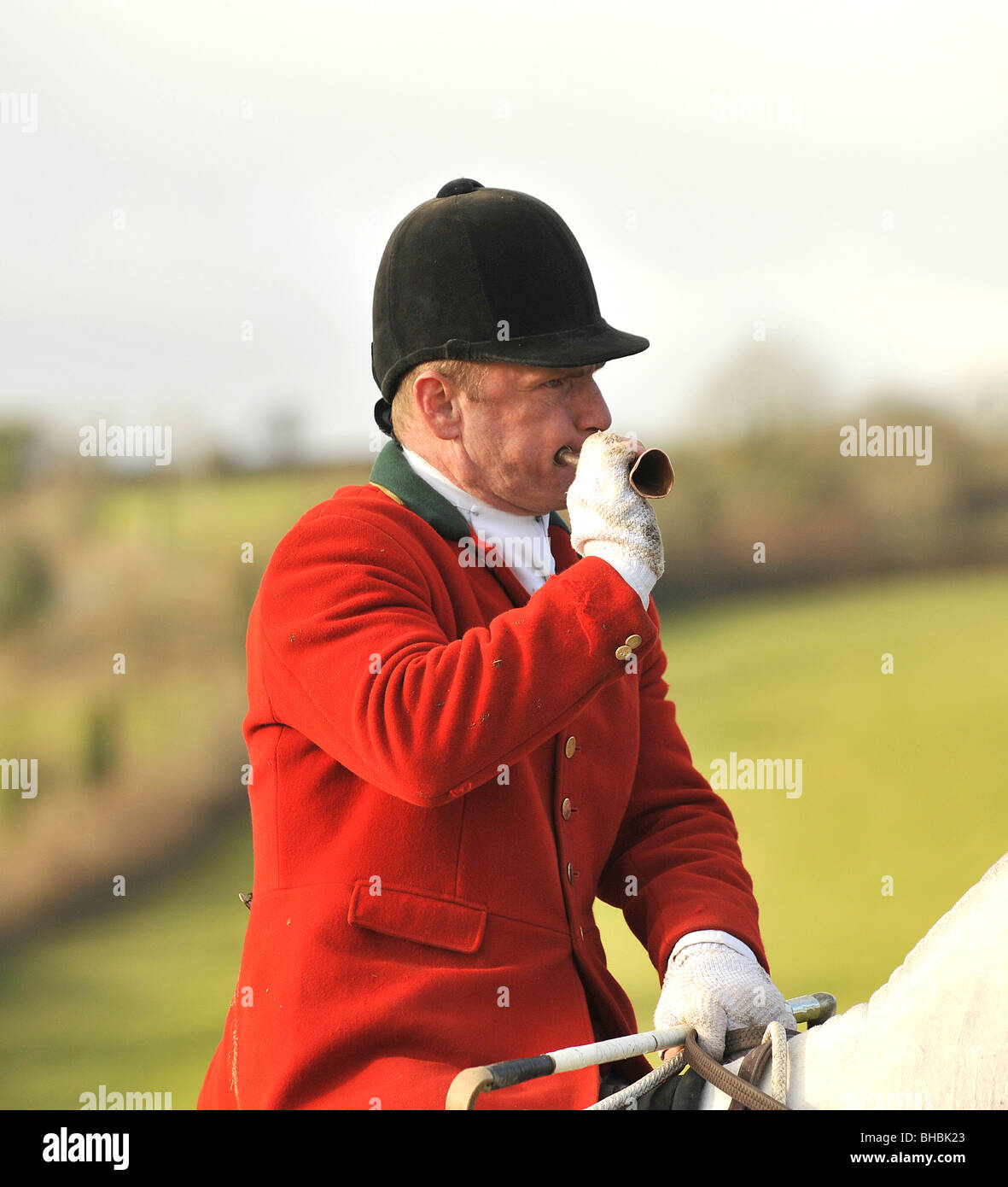David Lewis, de Huntsman lamerton foxhounds, soufflant son cor de chasse Banque D'Images