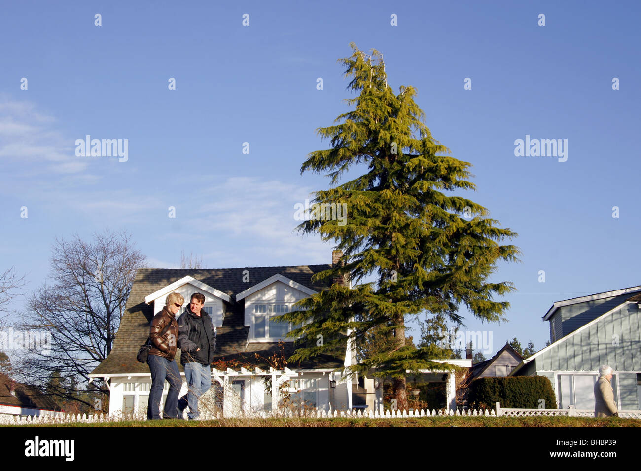 Couple en train de marcher le long de bord de mer de la plage Crescent, British Columbia, Canada Banque D'Images