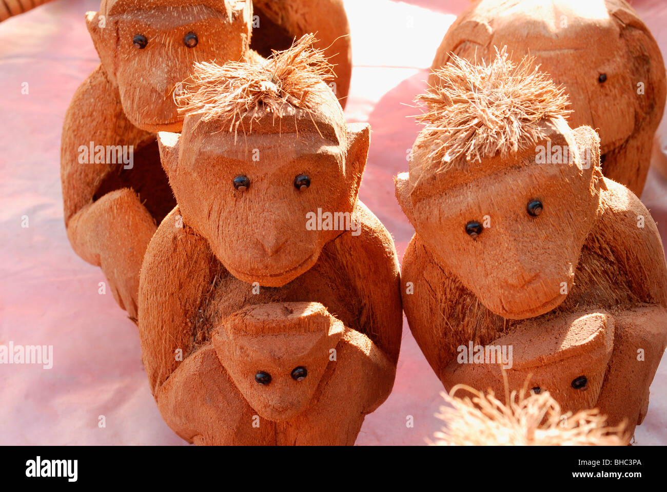 Monkey visages sculptés dans l'Inde ; noix de coco Banque D'Images