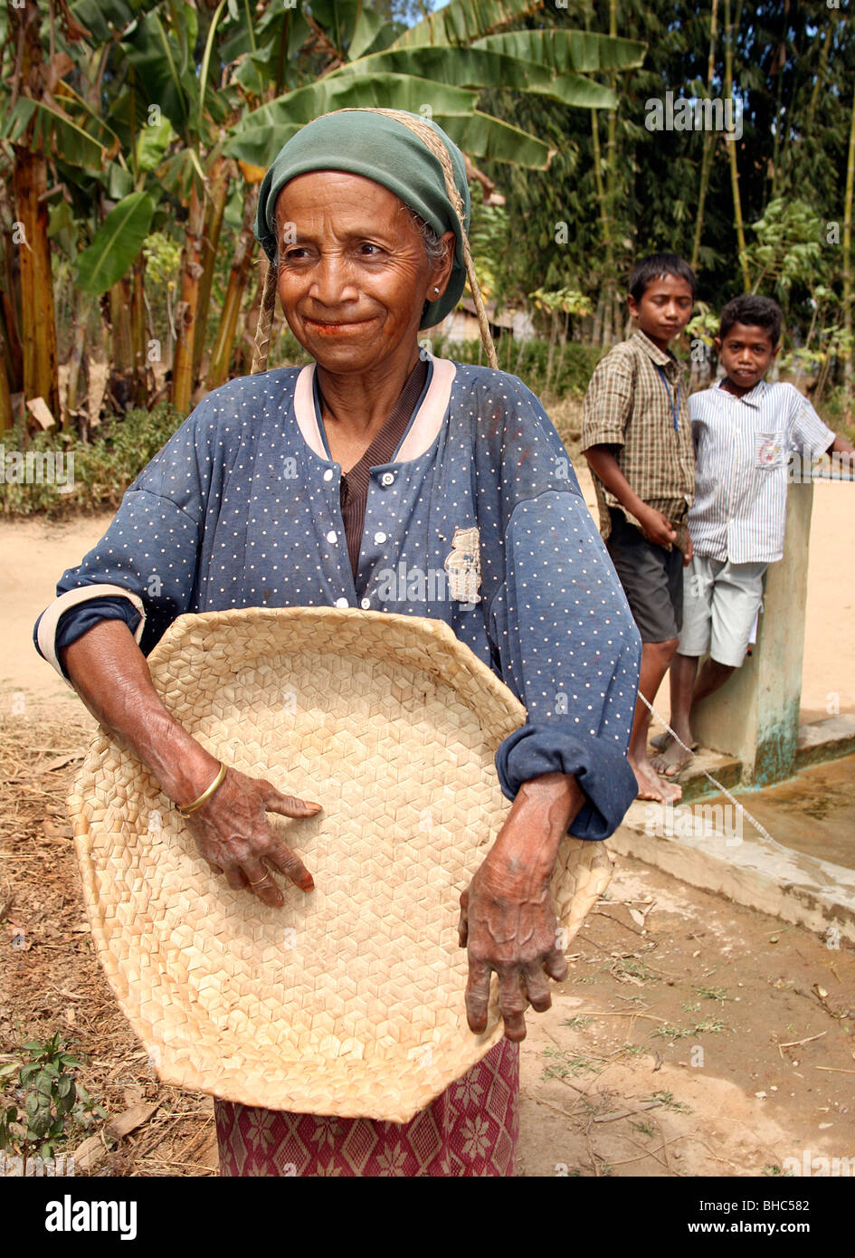 Personnes âgées respecté travailleuse de farmer avec son panier à l'Elcolbere glanage riz village région Alieu EastTimor Banque D'Images