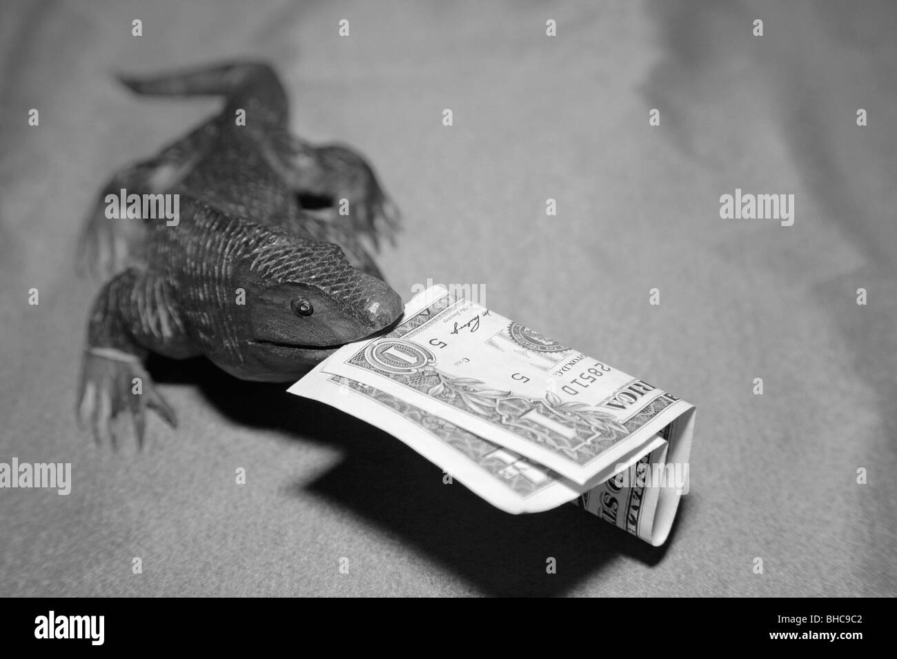 Lézard dragon de Komodo en bois sculpture souvenir nous mordre Monnaie dollar bank note dans sa bouche Banque D'Images