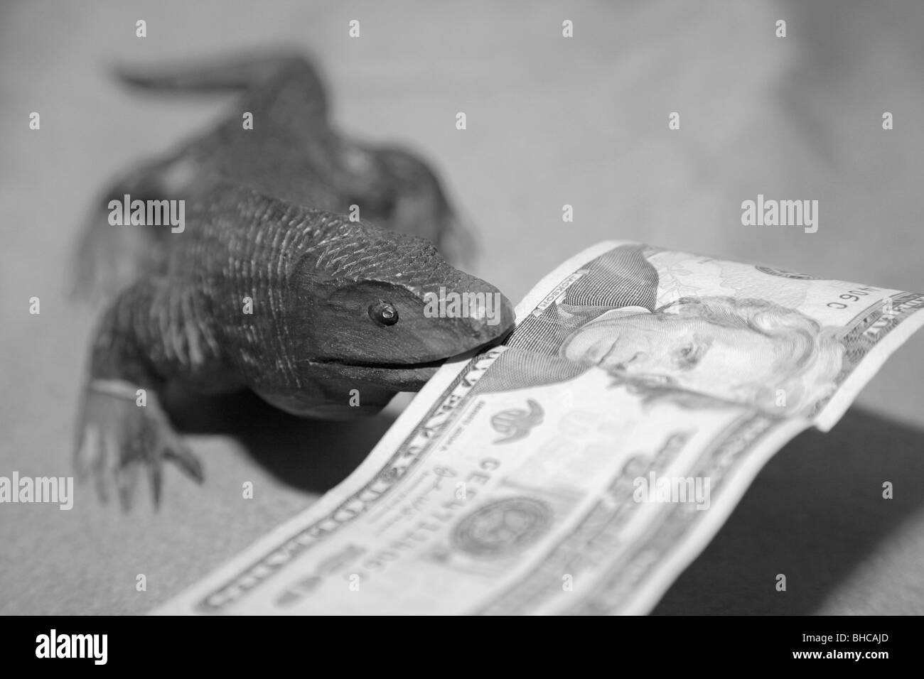Lézard dragon de Komodo en bois sculpture souvenir nous mordre 20 Monnaie dollar bank note dans sa bouche Banque D'Images