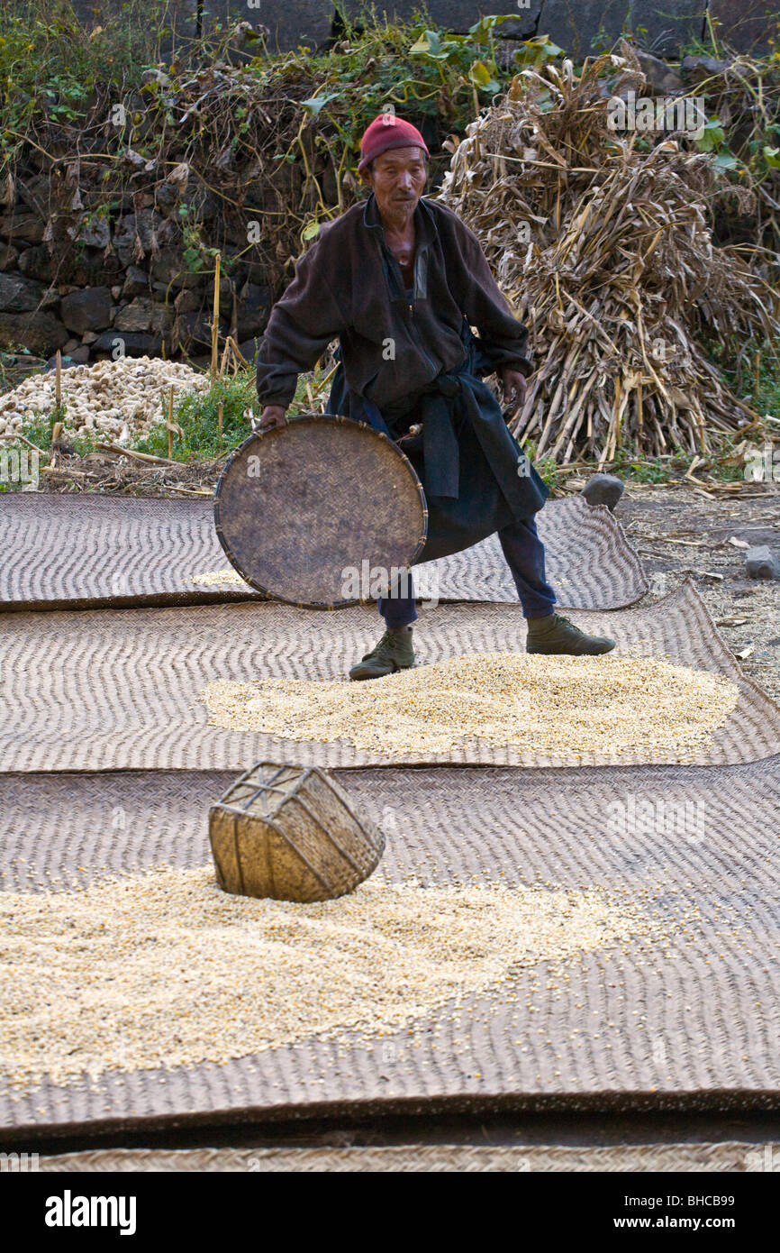 Riz himalaya Banque de photographies et d’images à haute résolution - Alamy