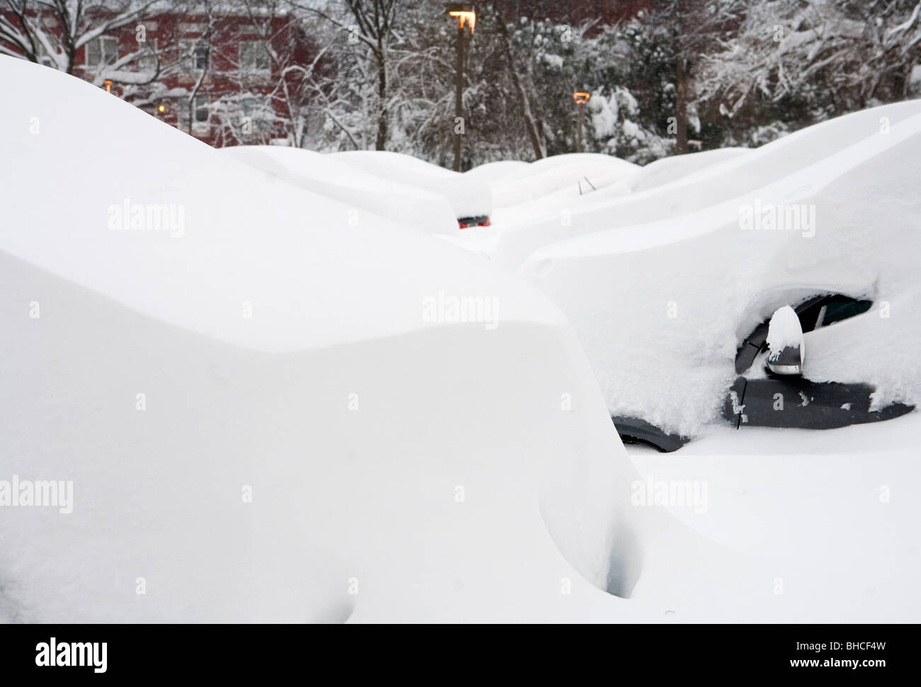 Washington DC des scènes de neige. Voitures ensevelies dans la neige. Banque D'Images