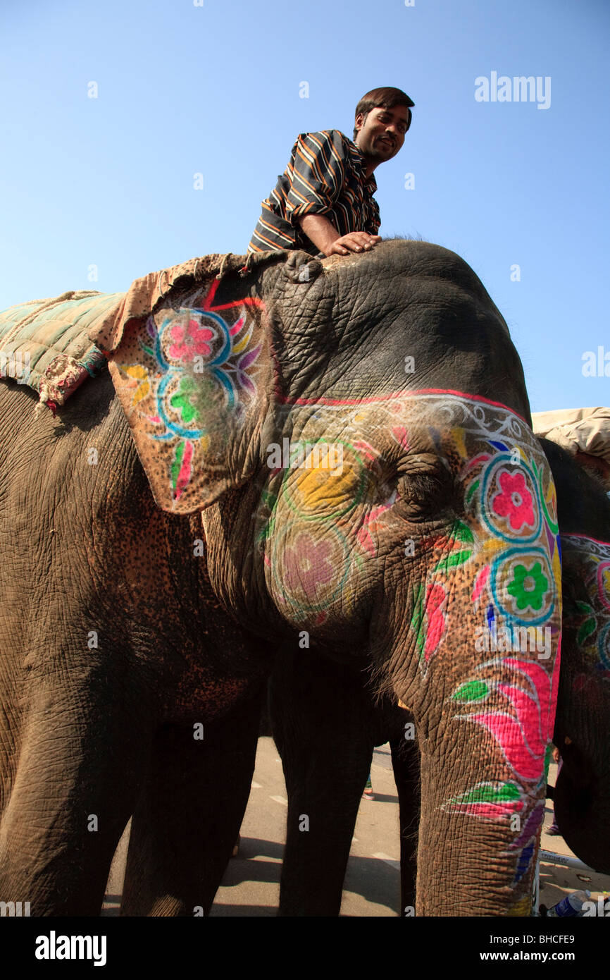 Un éléphant indien peint étant monté par son gardien à Jaipur, Inde Banque D'Images