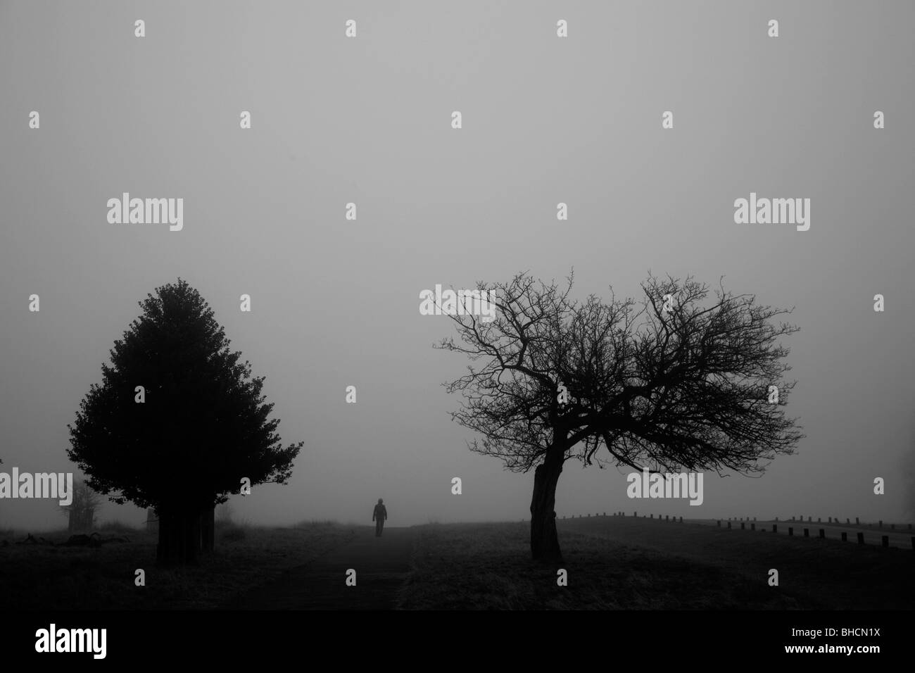 Grâce à une marche des piétons misty Richmond Park, Richmond, London, UK Banque D'Images