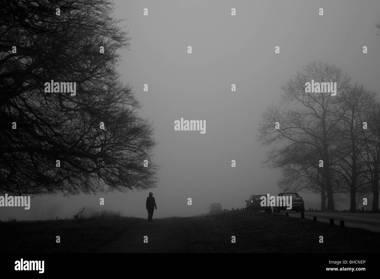 Grâce à une marche des piétons misty Richmond Park, Richmond, London, UK Banque D'Images