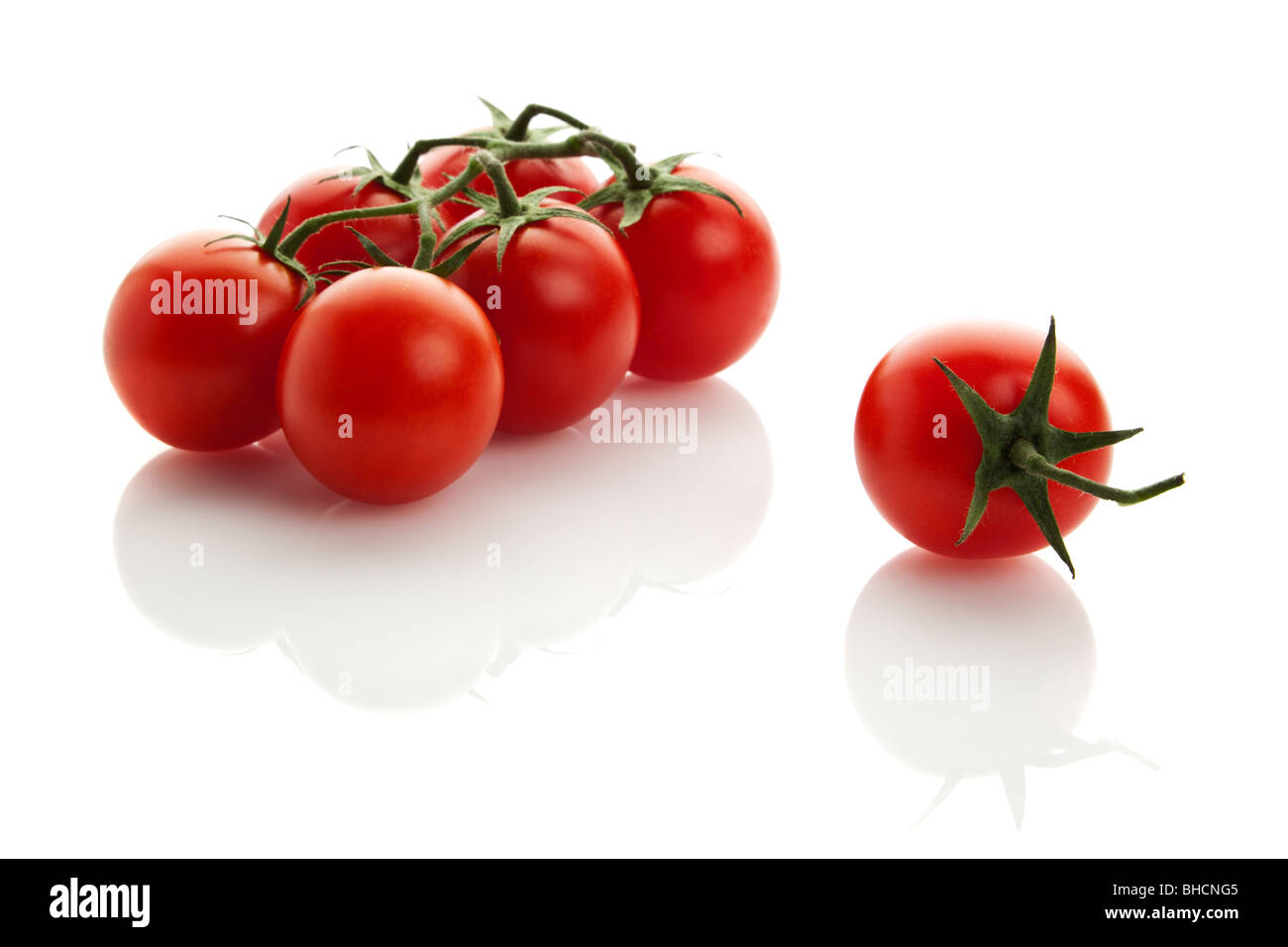 Six tomates sur leur vigne et une seule tomate isolé sur fond blanc, léger reflet Banque D'Images