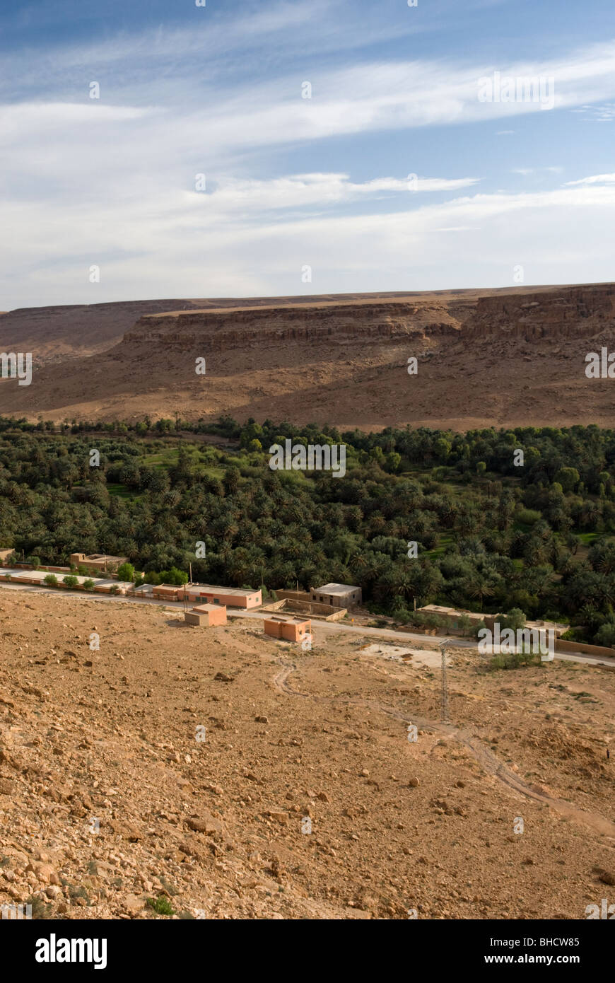 Vallée de Ziz date plantation, le Maroc. Banque D'Images