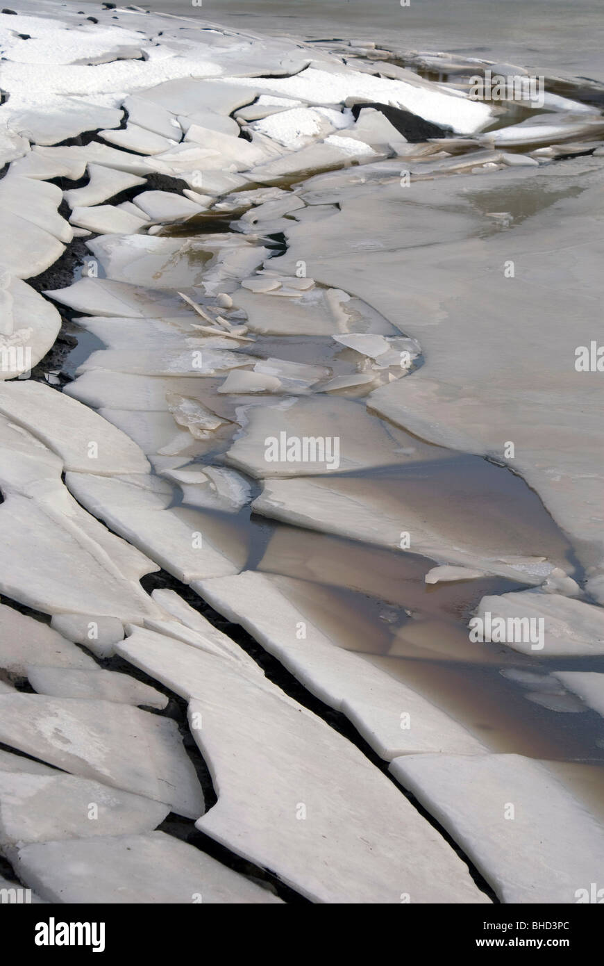 Sur la glace, dans le réservoir d'Harlaw Pentland Hills, près d'Édimbourg Banque D'Images