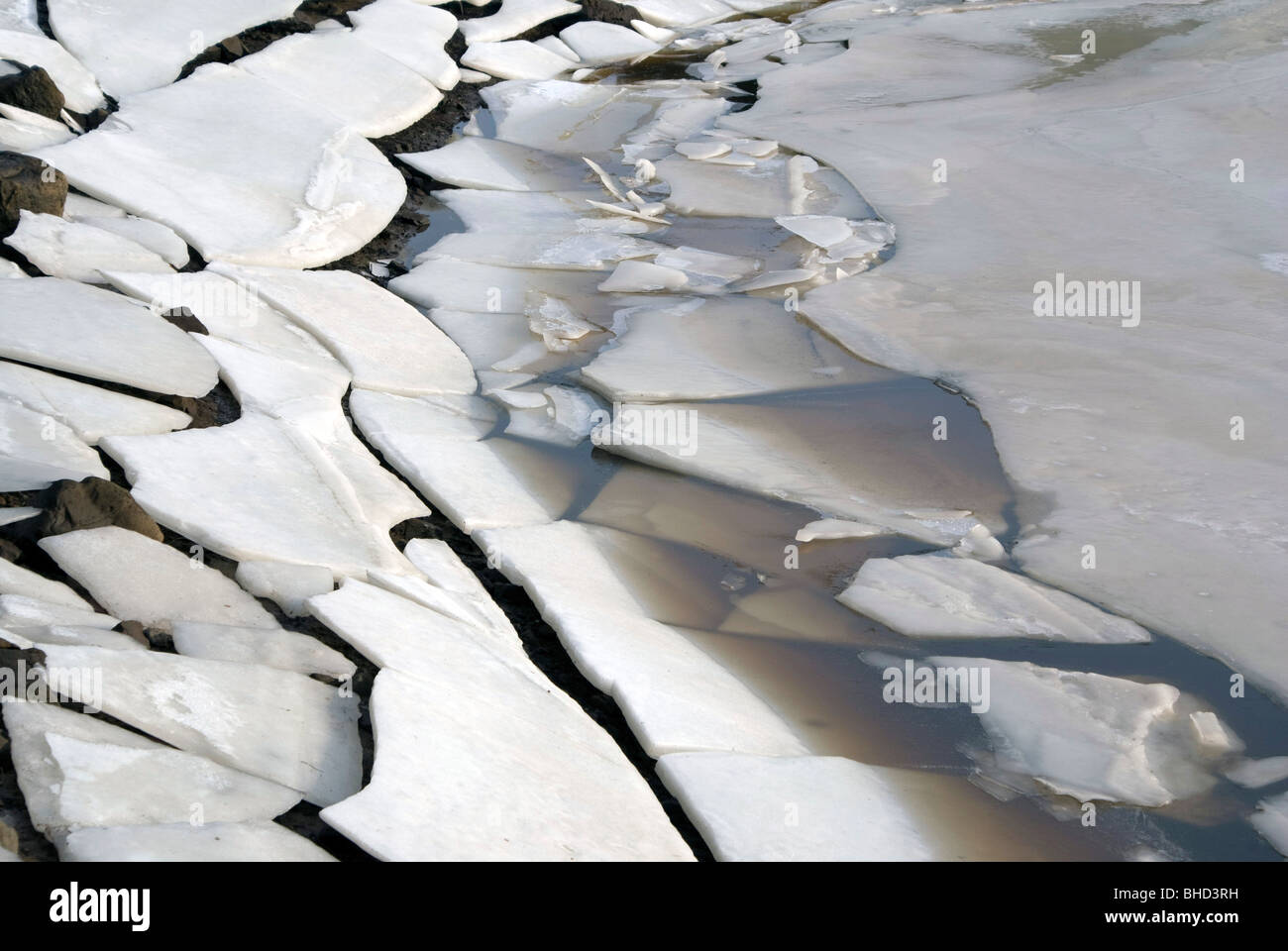 Sur la glace, dans le réservoir d'Harlaw Pentland Hills, près d'Édimbourg Banque D'Images