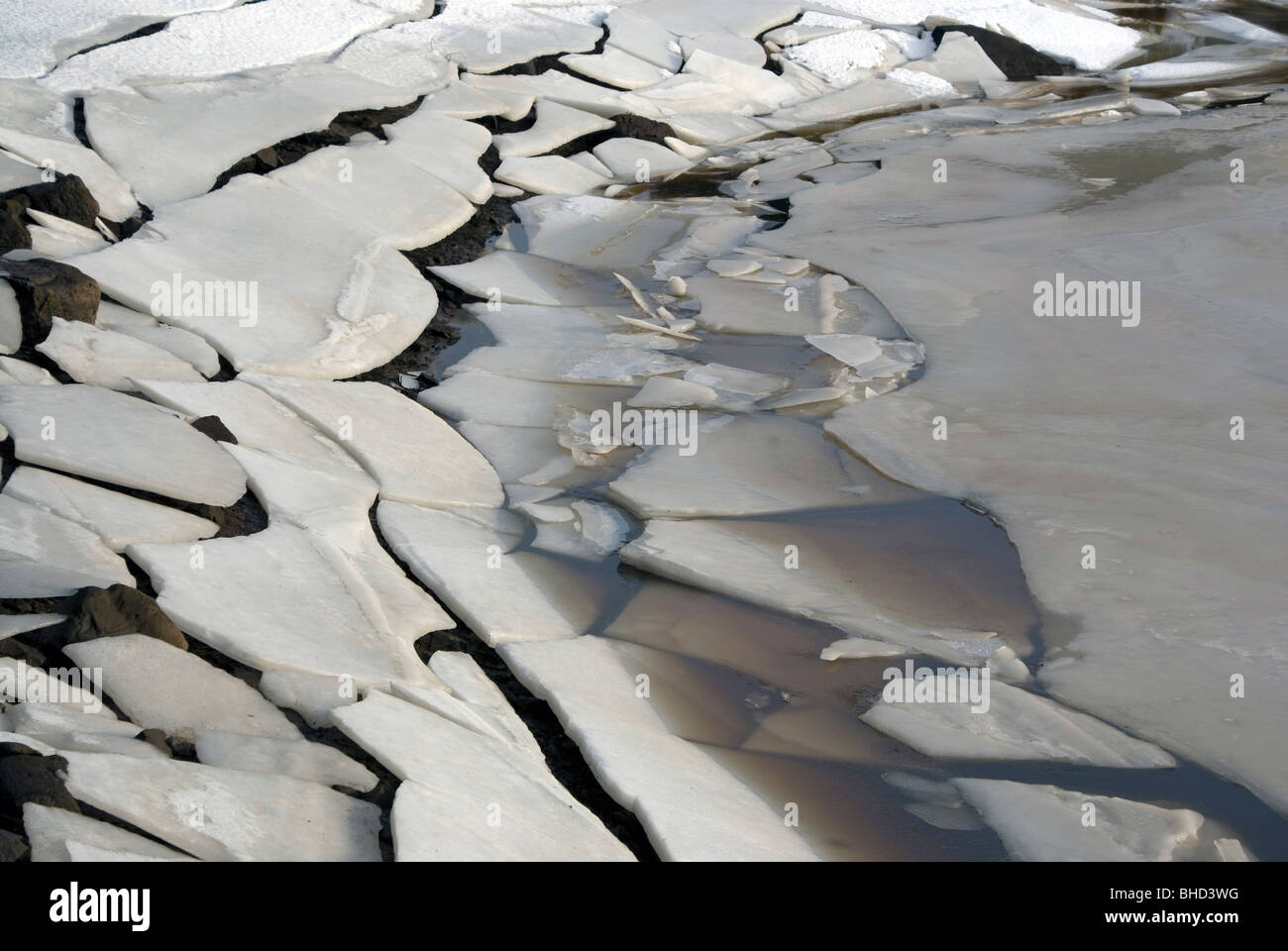 Sur la glace, dans le réservoir d'Harlaw Pentland Hills, près d'Édimbourg Banque D'Images