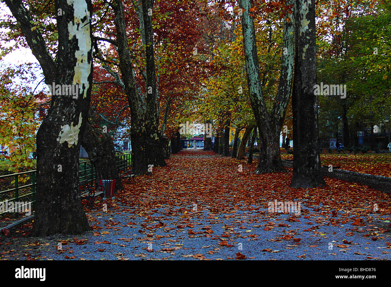La Bosnie, Bihac, une rivière, un lac, Printemps, Automne, couleurs, coloré, arbres, fleurs, fleurs, automne, vert, plante, Banque D'Images