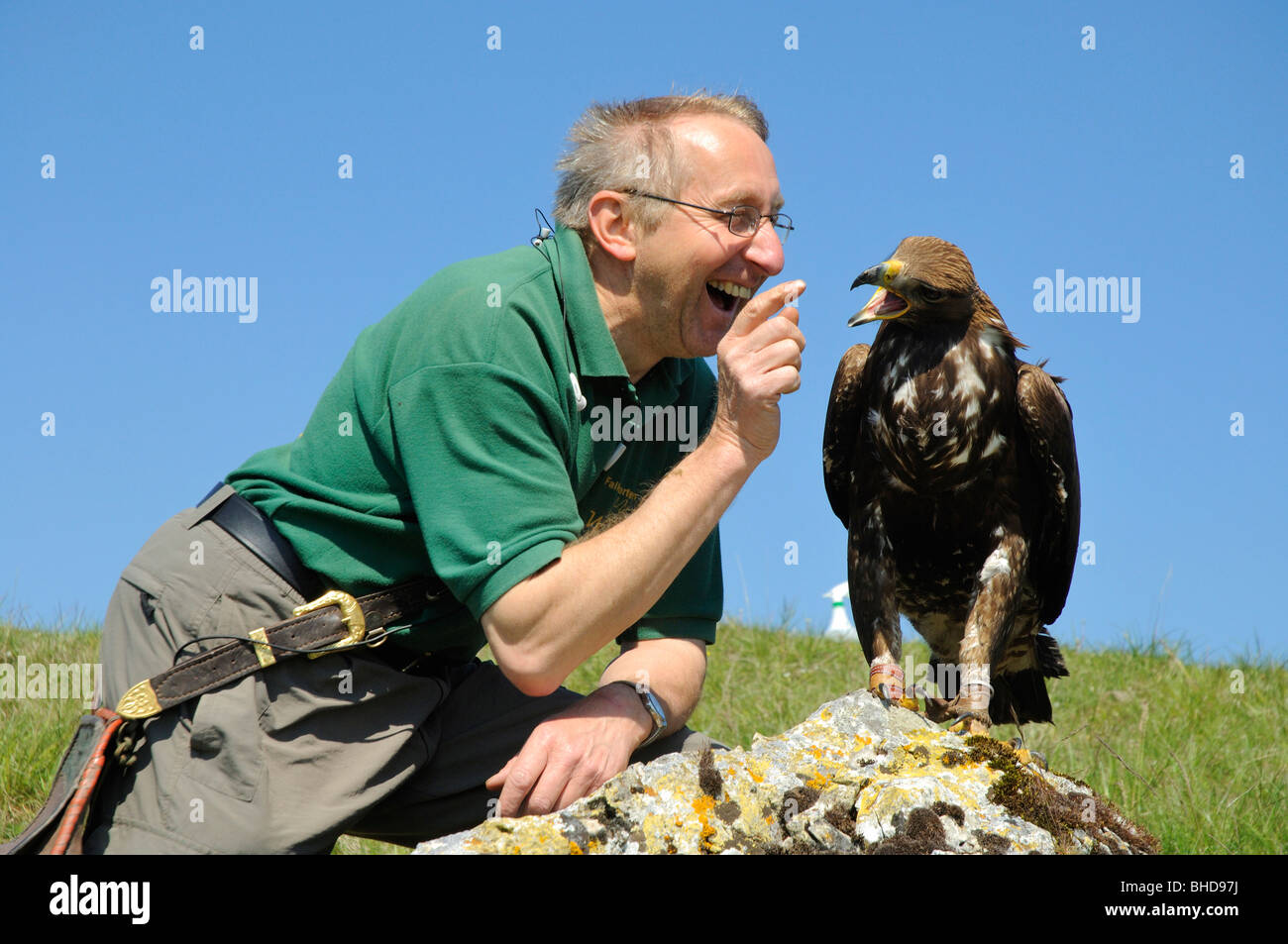 Falkner mit jungem Steinadler (Aquila chrysaetos) Falconer avec de jeunes Golden Eagle • Bade-wurtemberg ; Deutschland ; Allemagne Banque D'Images
