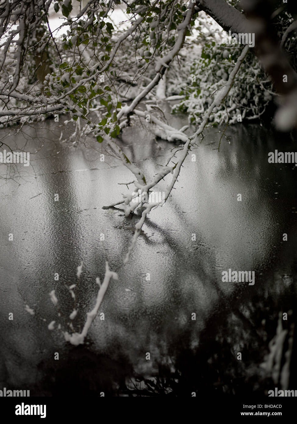 L'eau congelée avec couvert de neige des branches. Banque D'Images