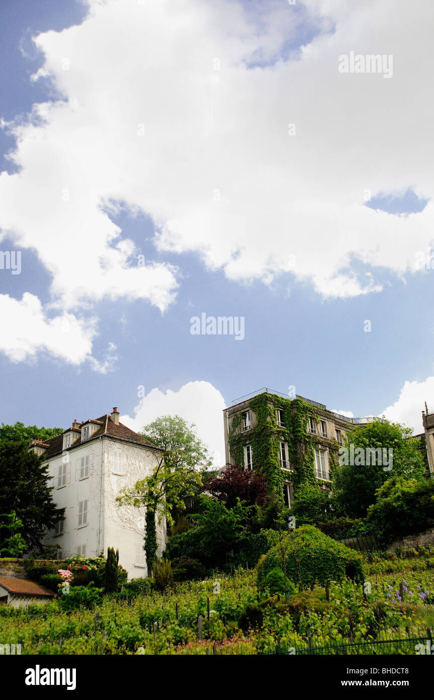Vignoble dernière à Paris, rue des Saules, Montmartre, Paris, France Banque D'Images