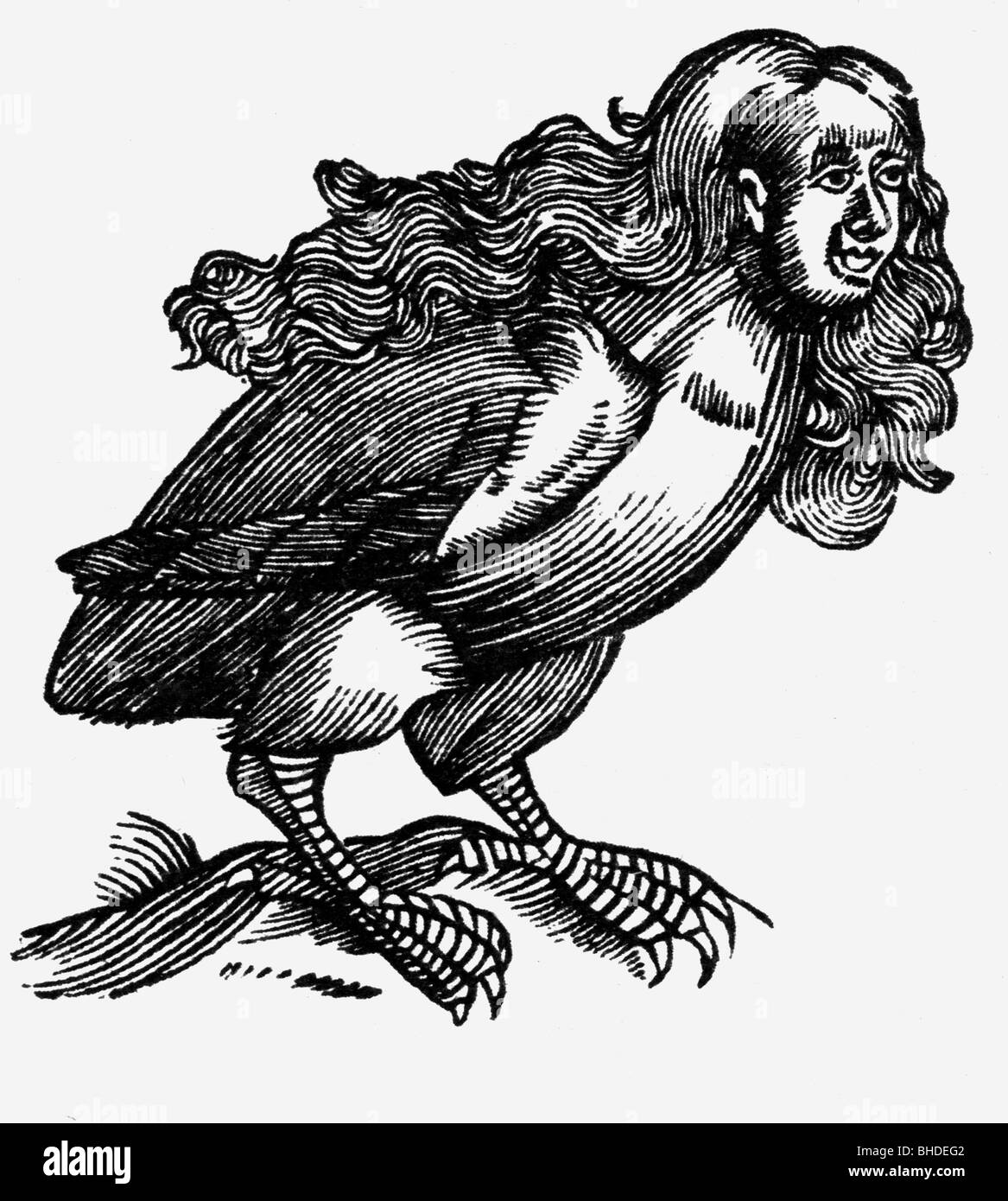 Harpies, créatures mythiques grecques (demi-femme, demi-oiseau), boisés, vers le XVIe siècle, Banque D'Images
