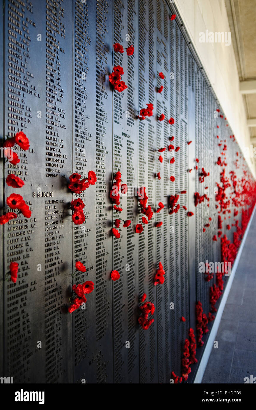 Monument commémoratif de la guerre australien mur des noms Poppies Canberra Australie // CANBERRA, Australie — Un mur au monument commémoratif de la guerre australienne commémore ceux qui sont morts au service militaire en Australie. Les coquelicots rouges sont un hommage traditionnel, souvent posé sur le mur. Le Mémorial australien de la guerre, situé à Canberra, DANS LE TERRITOIRE DE LA CAPITALE AUSTRALIENNE, est un monument national commémorant les sacrifices militaires consentis par les Australiens dans divers conflits au cours de l'histoire. Banque D'Images