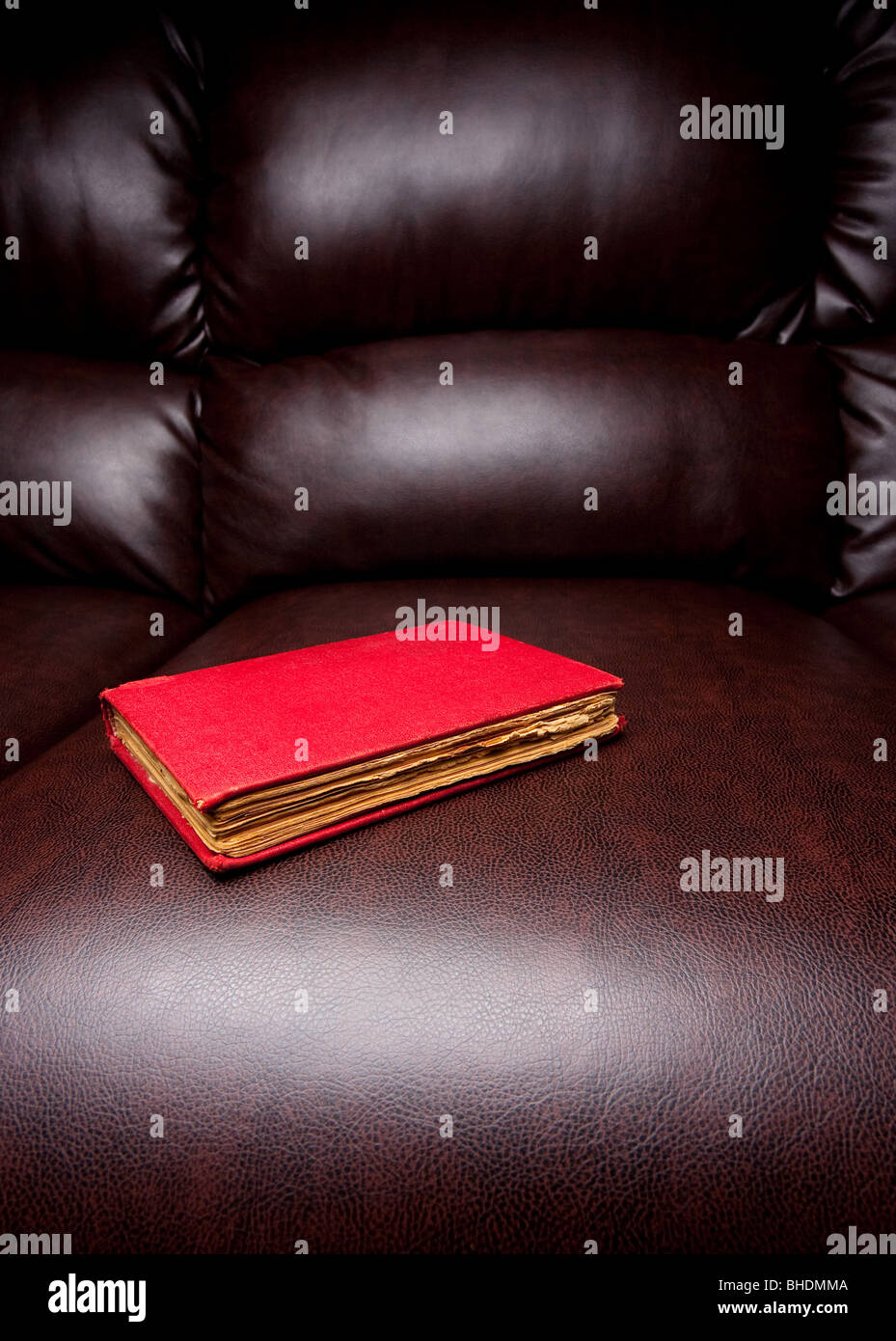 Close up d'un ancien livre sur un canapé en cuir brun Banque D'Images