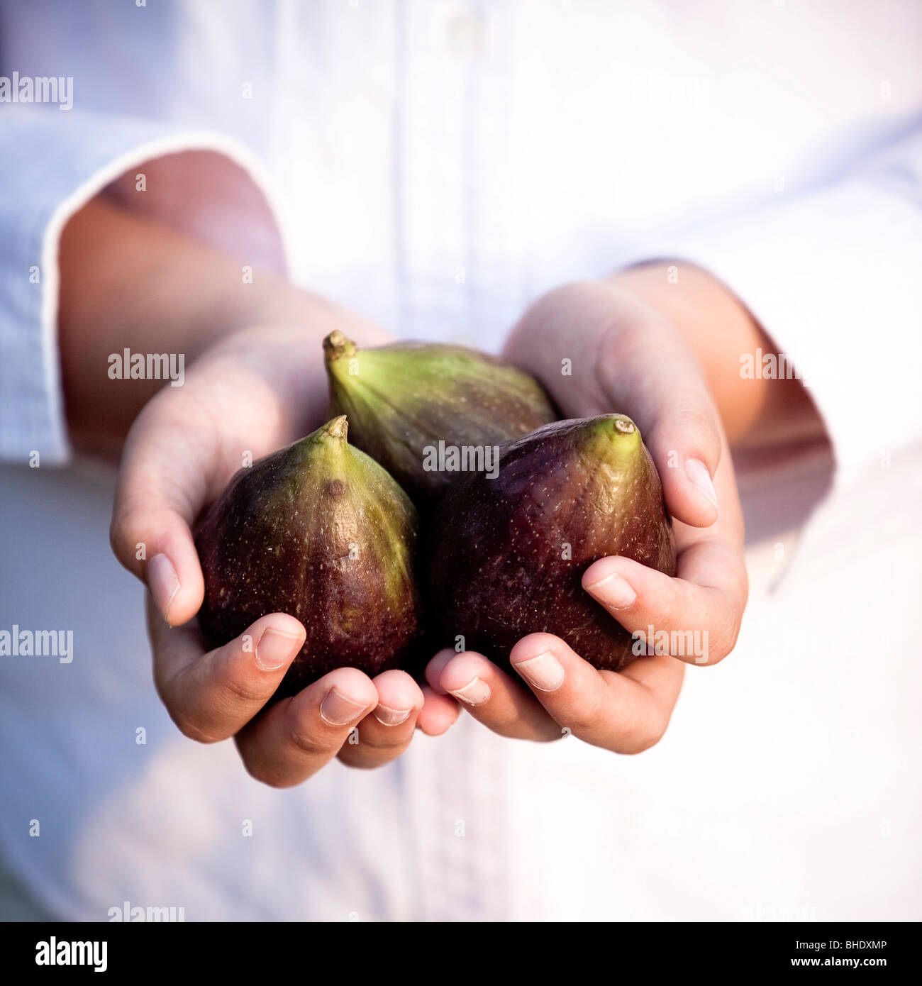 Woman's hand holding figs Banque D'Images