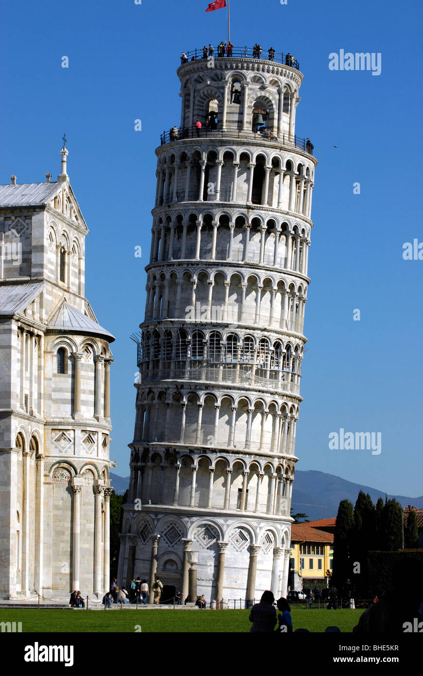 Tour de Pise à Pise Toscane Italie Banque D'Images