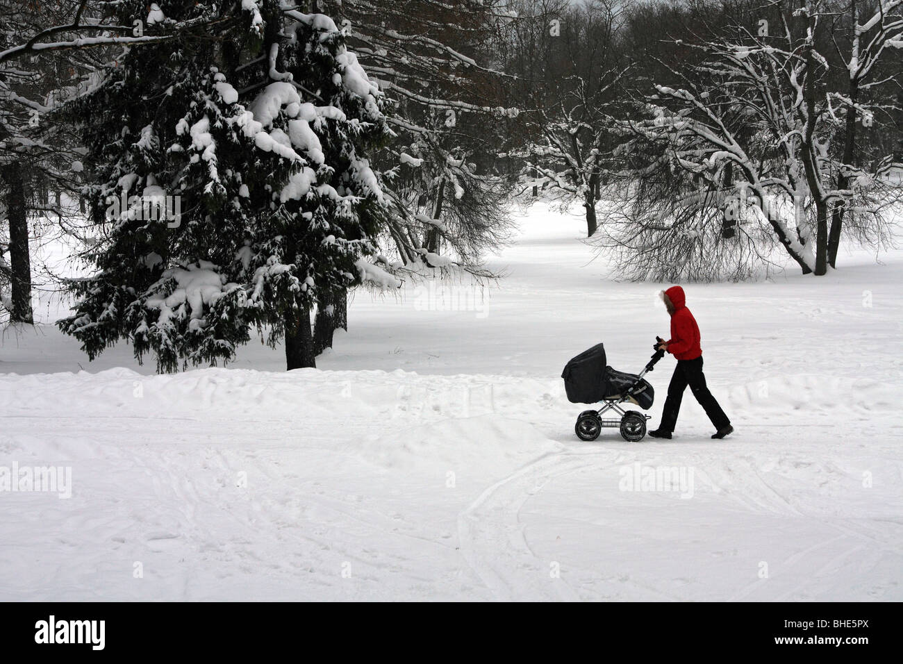 Des scènes de neige dans le parc Kadrioru, quartier de Kadriorg, Tallinn, Estonie. Banque D'Images