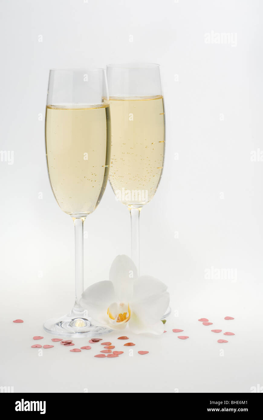 Champagne Orchid Banque D Image Et Photos Alamy Champagne Orchid Banque D Image Et Photos Alamy