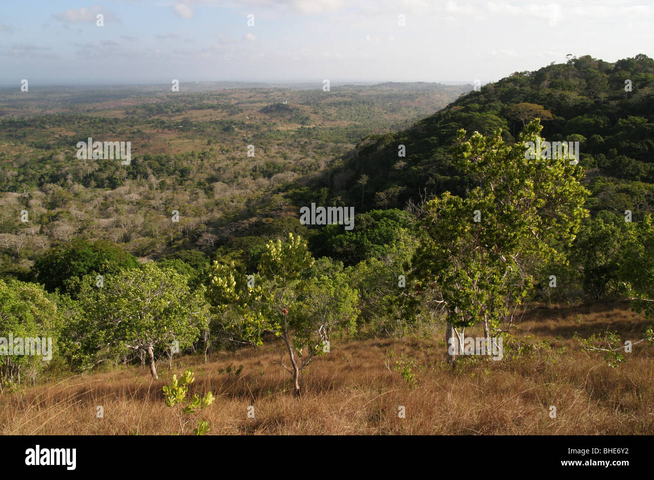 Le site Shimba Hills National Reserve, Kenya Banque D'Images